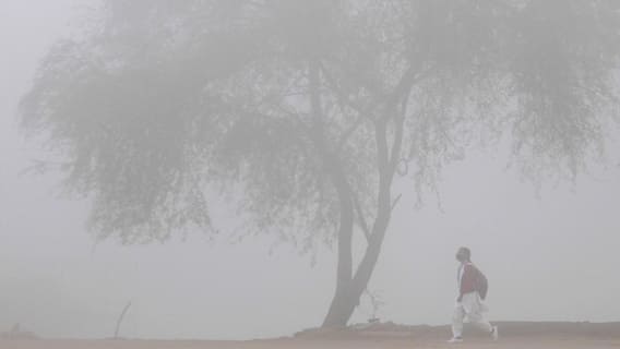 उत्तराखंड में बिछी घने कोहरे की सफेद चादर, कई जिलों में कोल्ड डे की चेतावनी, इस दिन होगी बारिश