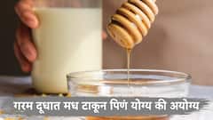 मध गरम दुधात टाकून पिणं योग्य की चुकीचं? जाणून घ्या ...
