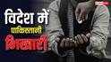 Pakistani Beggars: पाकिस्तान के कितने भिखारी विदेश में मांगते हैं भीख, आंकड़े देख चौंक जाएंगे आप
