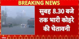 Delhi Fog: Delhi Hit by Very Dense Fog and Severe Pollution, Visibility Drops Below 50 Metres, IMD Issues Alert