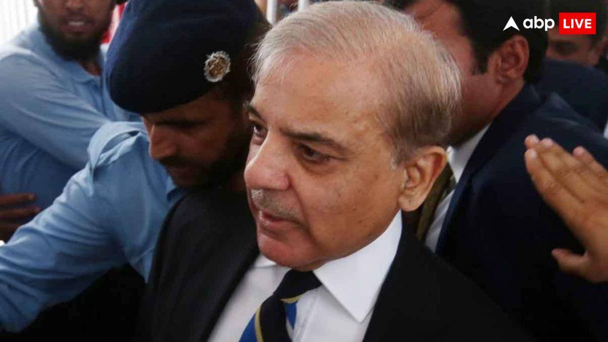 Pakistan: కండోమ్స్ ధరలను తగ్గించాలని వేడుకున్న పాకిస్తాన్ - బేరాల్లేవని తేల్చిన ఐఎంఎఫ్ - ఎంత కష్టం వచ్చిందో ?