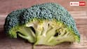 सर्दियों में ब्रोकली क्यों बन रही सुपरफूड? जानिए इम्युनिटी से स्किन तक कितने मिलते हैं फायदे