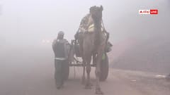 राजस्थान में ठंड का असर, कोहरे और तापमान में उतार-चढ़ाव पर मौसम विभाग की चेतावनी जारी