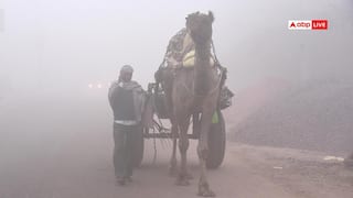 राजस्थान में ठंड का असर, कोहरे और तापमान में उतार-चढ़ाव पर मौसम विभाग की चेतावनी जारी