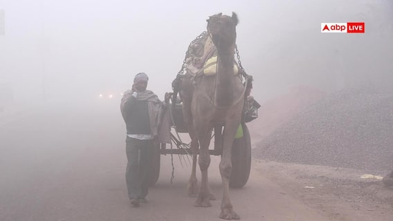 राजस्थान में ठंड का असर, कोहरे और तापमान में उतार-चढ़ाव पर मौसम विभाग की चेतावनी जारी