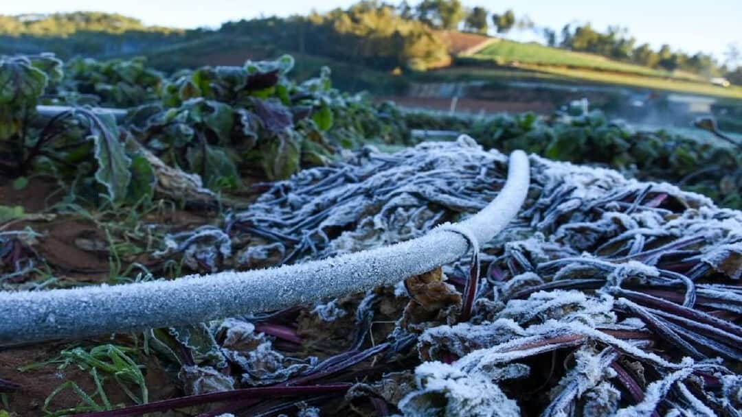 Cold Wave Alert: இன்றைய வானிலை நிலவரம்: மழை எப்போது பெய்யும்? உறைபனி எச்சரிக்கை எங்கு?: பனிமூட்டம் அப்டேட்