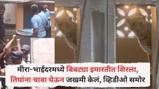 Mira Bhayandar Leopard Attack: मीरा-भाईंदरमध्ये बिबट्या इमारतीत शिरला, तिघांना चावा घेऊन जखमी केलं, पुण्यातही बिबट्याची दहशत