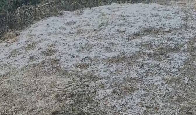 थंडीचा हा तीव्र प्रकोप पहाटेच्या वेळी अधिक जाणवत असून, सकाळी उघड्यावर असलेल्या पिकांवर गोठलेले दव स्पष्टपणे दिसून येत आहे.