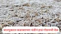 Nandurbar News: सातपुड्यात कडाक्याच्या थंडीनं हाडं गोठायची वेळ; भाताच्या पेंढ्यावर जमली बर्फाची चादर