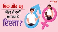 लड़कों को ब्लू और लड़कियों को पिंक कलर ही क्यों पसंद आता है, रंग कैसे बन गए फैशन स्टैंडर्ड?