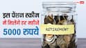 प्राइवेट नौकरी करते हैं तो रिटायरमेंट के बाद पेंशन का कर लें जुगाड़, इस योजना में हर महीने मिलेंगे 5000 रुपये