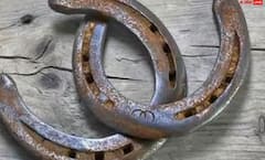 ਘਰ ਨੂੰ ਬੂਰੀ ਨਜ਼ਰ ਤੋਂ ਬਚਾਉਣ ਲਈ ਨਵੇਂ ਸਾਲ 'ਤੇ ਲਿਆਓ ਆਹ ਚੀਜ਼ਾਂ