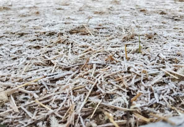 नंदुरबार जिल्ह्यातील सातपुडा पर्वतरांगांमध्ये गेल्या दोन दिवसांपासून तापमानात मोठी घसरण झाली असून, कडाक्याच्या थंडीने जनजीवन विस्कळीत झाले आहे.