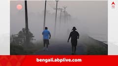 বড়দিনের প্রাক্কালে ২-৩ ডিগ্রি রাতের পারদ পতনের পূর্বাভাস ! ঘন কুয়াশার সতর্কতা, কাল কেমন থাকবে আবহাওয়া ?