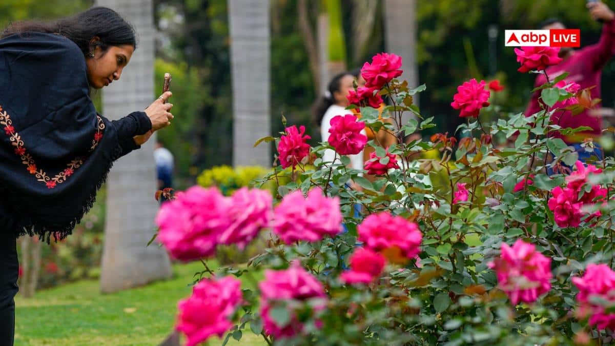 Happy Rose Day 2026 Wishes: என் ரோஜா நீயா! காதலை மலர்களால் வெளிப்படுத்தும் நாள்! ரோஸ் டே வாழ்த்துகள்