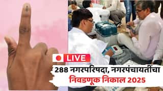 Maharashtra Nagar Palika Nagar Panchayat Election Result 2025 LIVE: नगरपालिका निवडणुकीत कोणाची बाजी? प्रत्येक अपडेट एका क्लिकवर...