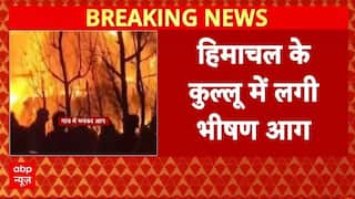 Kullu Fire Breaking: हिमाचल के कुल्लू में आग से हड़कंप...दो गौशाला जलकर हुई | Himachal Pradesh