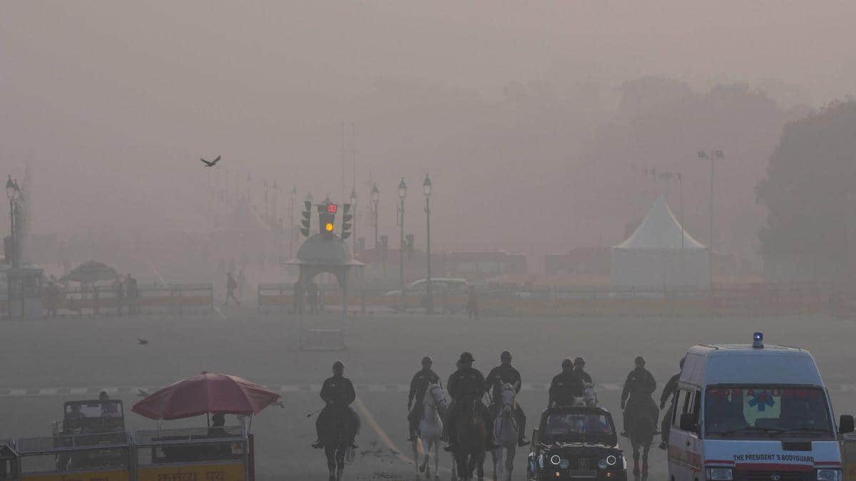The Art of Baking: From Classic Bread to Artisan Pastries