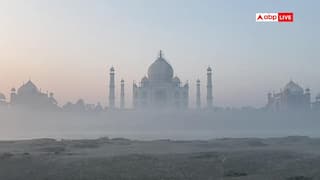 यूपी में सर्दी का सितम जारी, 21 जिलों में कोहरे और ठंड का रेड अलर्ट, जानें अपने शहर का हाल