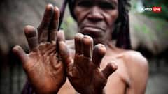 दुनिया की 10 अजीबोगरीब परंपराएं: दालचीनी होली से लेकर मुर्दों का जुलूस तक! देखें फोटो