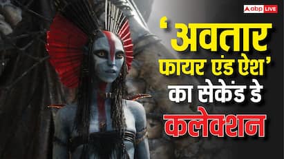 Box Office: 'अवतार फायर एंड ऐश' ने दूसरे ही दिन तोड़े मार्वल की फिल्मों के रिकॉर्ड, अब डीसी की बारी