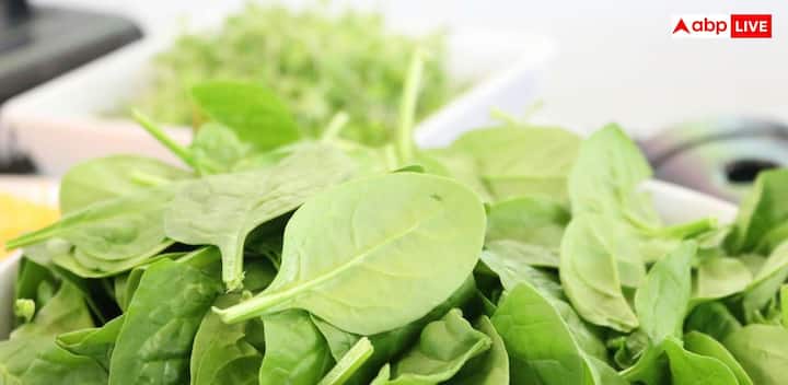 पालक सर्दियों में खाई जाने वाली एक ऐसी सब्जी है जो विटामिन और फाइबर से भरपूर होती है. इसे कई तरह से डाइट में शामिल किया जा सकता है, जैसे पालक की सब्जी, पालक की रोटी या सलाद के रूप में.