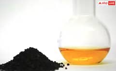 ਕਾਲਾ ਜੀਰਾ ਕਿਵੇਂ ਘਟਾਉਂਦਾ ਮੋਟਾਪਾ ਅਤੇ ਕੋਲੈਸਟ੍ਰੋਲ, ਵਿਗਿਆਨਿਕ ਸੋਧ 'ਚ ਹੋਇਆ ਖੁਲਾਸਾ