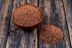 घर के किचन गार्डन में रागी उगाना हुआ आसान, जानिए बुवाई से कटाई तक पूरा तरीका