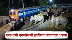 राजधानी एक्स्प्रेसची हत्तींच्या कळपाला धडक, भीषण अपघातात आठ हत्तींचा मृत्यू; इंजिनसह रेल्वेचे पाच डबे घसरले