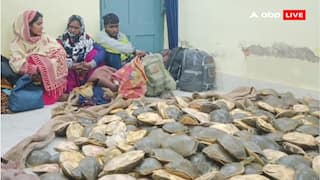झारखंड में वन्यजीव तस्करी का भंडाफोड़, फरक्का एक्सप्रेस से 662 से ज्यादा प्रतिबंधित कछुए बरामद