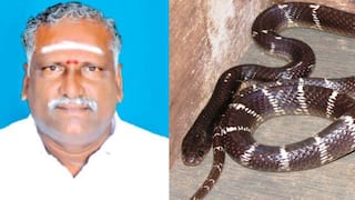 Tamil Nadu Crime News: తండ్రిని పాముతో కరిపించి హత్య చేసిన కుమారులు! బీమా డబ్బులు, ప్రభుత్వ ఉద్యోగం కోసం దారుణం!