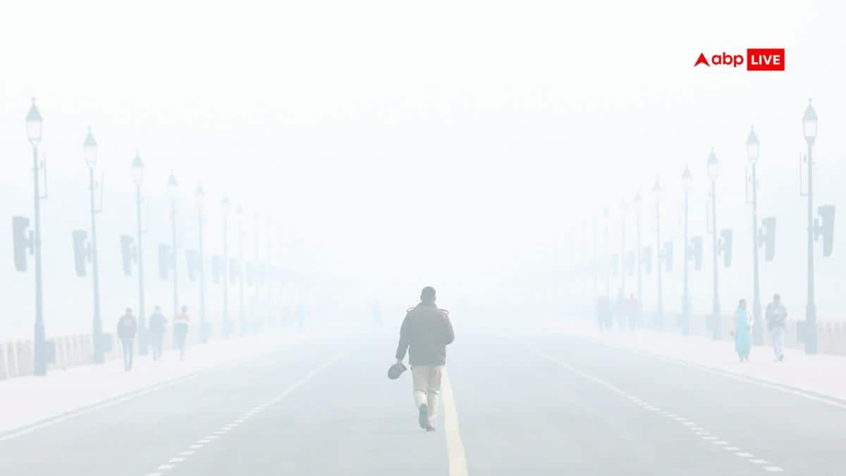 The Art of Baking: From Classic Bread to Artisan Pastries