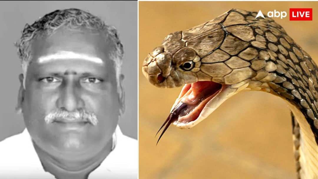 Father bitten by snake twice for insurance money murder plan by sons Expose in Tiruvallur Tamil Nadu crime news पिता के नाम थी करोड़ों की बीमा पॉलिसी, बेटों ने रची मर्डर की खौफनाक साजिश, जानें पूरा मामला