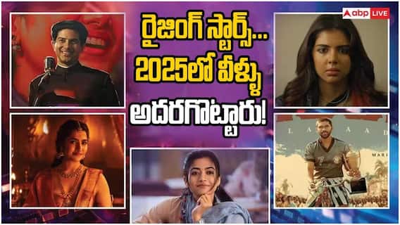 Year Ender 2025: యాక్టింగ్ చింపేశారుగా... ధృవ్ విక్రమ్ to రుక్మిణి, కల్యాణీ - 2025లో సర్‌ప్రైజ్ చేసిన సౌత్ స్టార్లు 