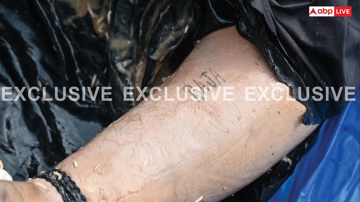 Exclusive: Story of Raja Raghuvanshi murder case, in the words of police chargesheet...