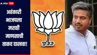 एकत्र या, अहंकारी भाजपला मराठी माणसाची ताकद दाखवा, रोहित पवारांचा हल्लाबोल, म्हणाले, मित्रपक्षांच्याच मतदारसंघात नेत्यांची आयात