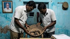 Tamil Nadu Shocker: Sons Get Father Bitten By Snake Twice For Insurance Payout