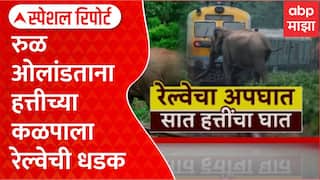 Assam Elephant Death : रुळ ओलांडताना हत्तीच्या कळपाला रेल्वेची धडक, 7 हत्तींचा मृत्यू Special Report