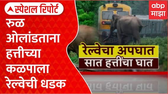 Assam Elephant Death : रुळ ओलांडताना हत्तीच्या कळपाला रेल्वेची धडक, 7 हत्तींचा मृत्यू Special Report