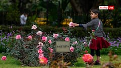 विंटर रोज शो में दिखेगा गुलाबों का जलवा, खुशबू और रंगों से सजेगा दिल्ली का रोज गार्डन