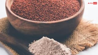 घर के किचन गार्डन में रागी उगाना हुआ आसान, जानिए बुवाई से कटाई तक पूरा तरीका