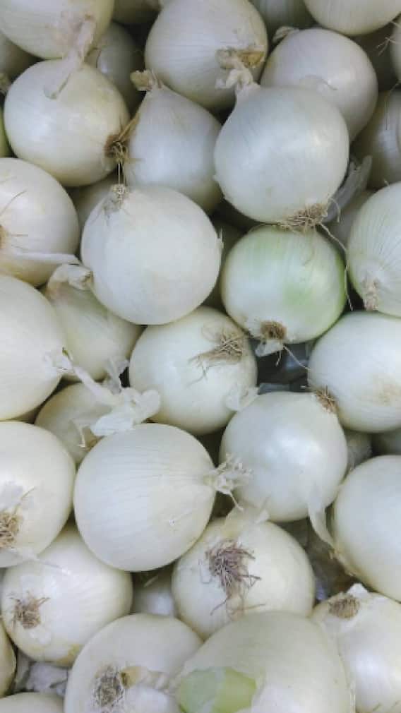 શિયાળામાં સફેદ ડુંગળી ખાવાના 6 અદભૂત ફાયદા