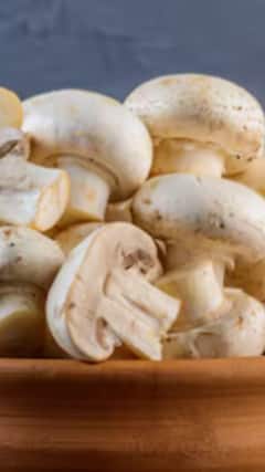 ছুঁতে পারে না রোগ-সংক্রমণ, ডায়েটে অবশ্য়ই রাখুন মাশরুম