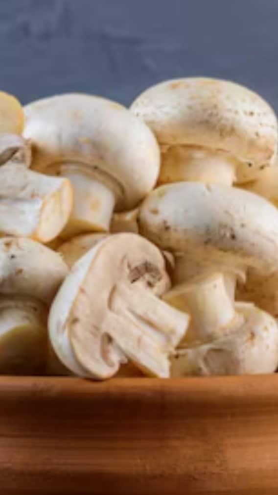 ছুঁতে পারে না রোগ-সংক্রমণ, ডায়েটে অবশ্য়ই রাখুন মাশরুম