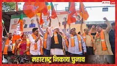 महाराष्ट्र नगर निकाय चुनाव में सबसे बड़ी पार्टी बनकर उभरी BJP, इन सीटों पर मारी बाजी, देखें लिस्ट