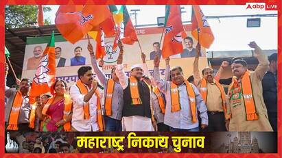 महाराष्ट्र नगर निकाय चुनाव में सबसे बड़ी पार्टी बनकर उभरी BJP, इन सीटों पर मारी बाजी, देखें लिस्ट