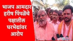 अटीतटीच्या लढतीत मुर्तिजापूरमध्ये भाजपचा विजय, आमदार हरीष पिंपळेंनी स्वपक्षातील स्थानिक नेत्यांवर डागली तोफ, कारण