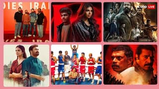 इस साल 1400 करोड़ कमाने वाली मलयालम की 10 फिल्में, पहले नंबर वाली ने तो बवाल काट दिया