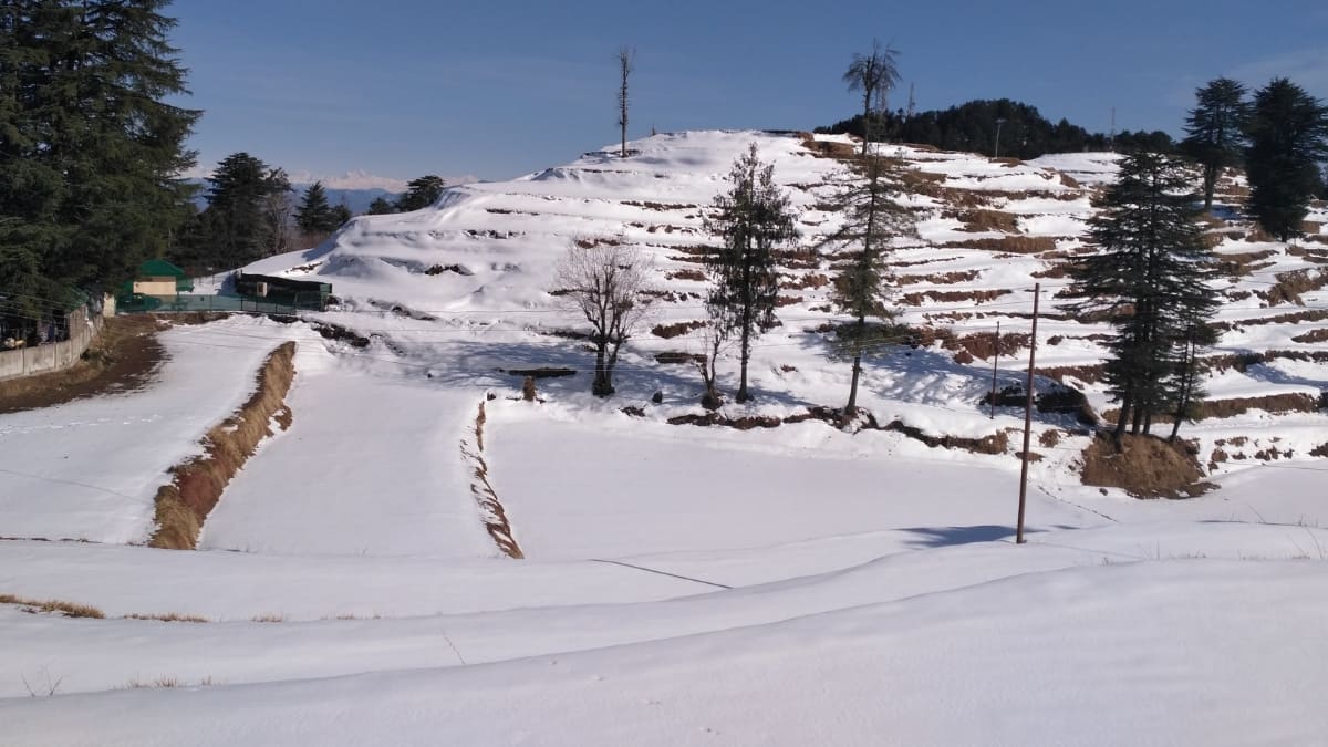 (Image Source: Canva)