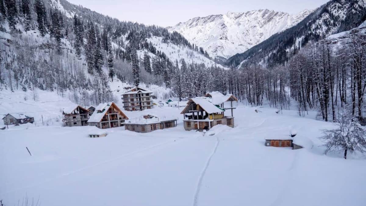 (Image Source: x/ IndiaAesthetica)